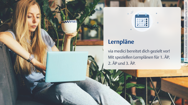via medici Lernpläne